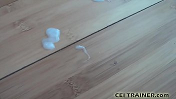 cei trainer