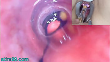 rubber worm sounding
