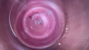 video inside vagina during sex